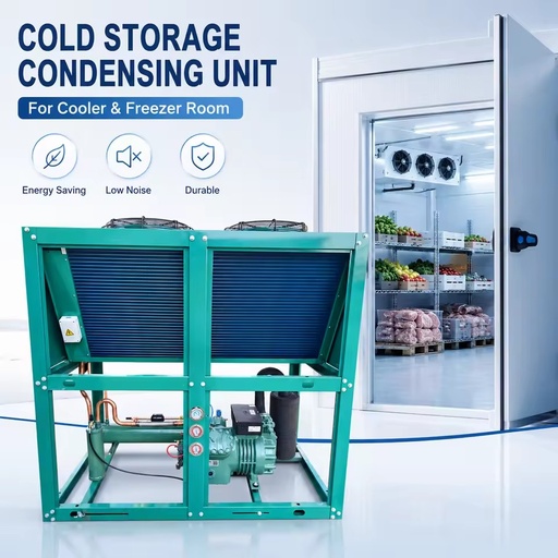 20HP 30HP Air Cooled Condensing Unit 380V 50Hz for Large Cold Storage Warehouse Frozen Food and Cold Chain