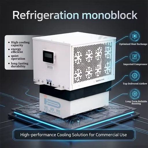 Single Phase 220V Monoblock Refrigeration Unit Rotary Compressor Eco-Friendly R-404A 1-3HP for Small Business Convenience Store