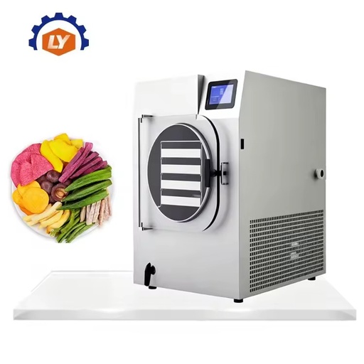 Cheapest Price Food Freeze Dryer Food Fruits Vegetables Vacuum Freeze Drying Equipment Freeze Dryer Food