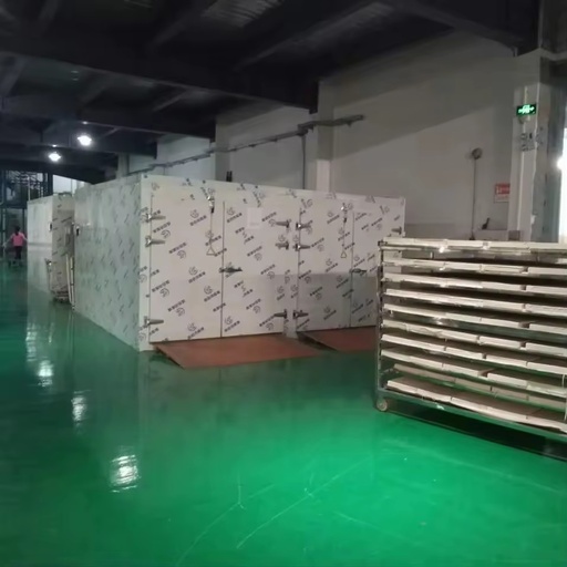 Advanced PLC Controlled Automatic Dry Cabinet Commercial Food Dehydrator Pump Motor for Industrial Fruit Vegetable Processing