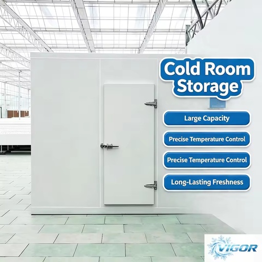 Modular Cold Freezer with Custom National Voltage for Professional Food Factory Refrigeration Preservation