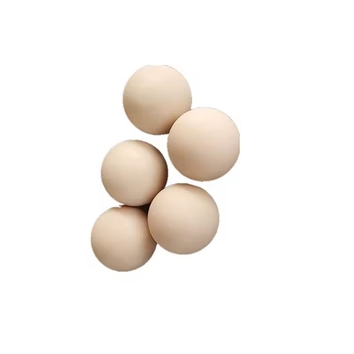 Customized High Quality Plastic Solid MC Nylon PP PE POM PTFE Ball Manufacturer