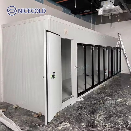 Space Saving Display Cold Room Custom Size PU Panel Glass Door Walk in Cooler for Retail Grocery Store