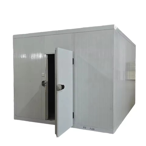New High-Efficiency Refrigeration Equipment Small Size Commercial Walk in Freezer for Seafood Chicken