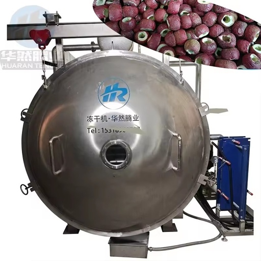 Energy Saving Vacuum Dryer with Condenser & Vacuum Pump System Complete Set