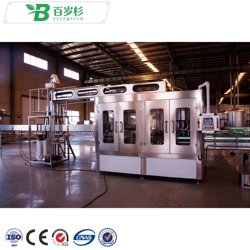 BS-Auto Bottled Drinking Water Making Equipment / Pure Water Bottling Machine / Mineral Water Filling Plant