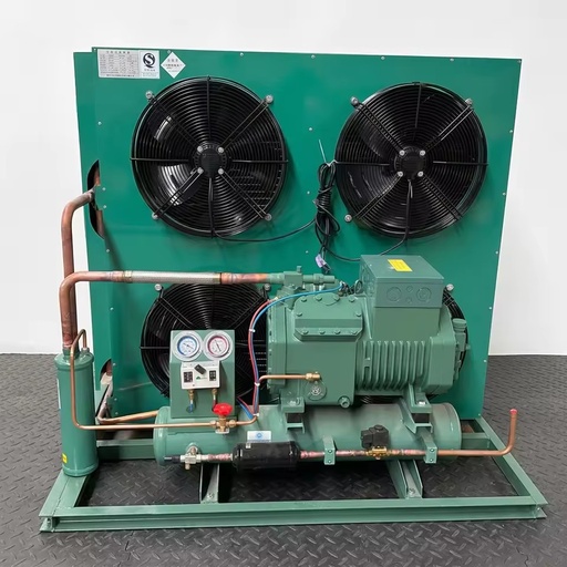 Factory Supplier 10HP Outdoor Unit Automatic Air Cooled Condenser for Meat Freezing Preservation R410A Pump Motor Core