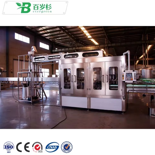 BS-Automatic Turnkey Project Price Bottle Pure Mineral Water Beverage Drink Filling Bottling Machine