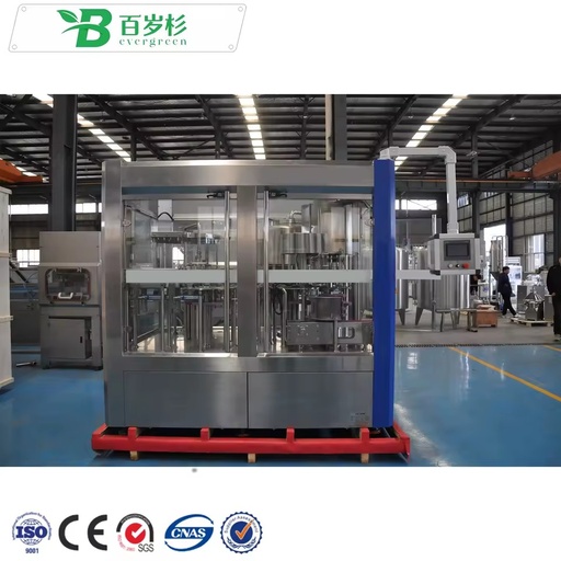 BS-Small Scale PET Bottled Water Production Line Automatic Bottle Water Filling Machine for Startup Business