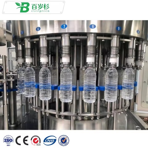 BS-Full Automatic Complete 12000BPH Bottled Drinking Mineral Pure Water Filling Machine Production Line
