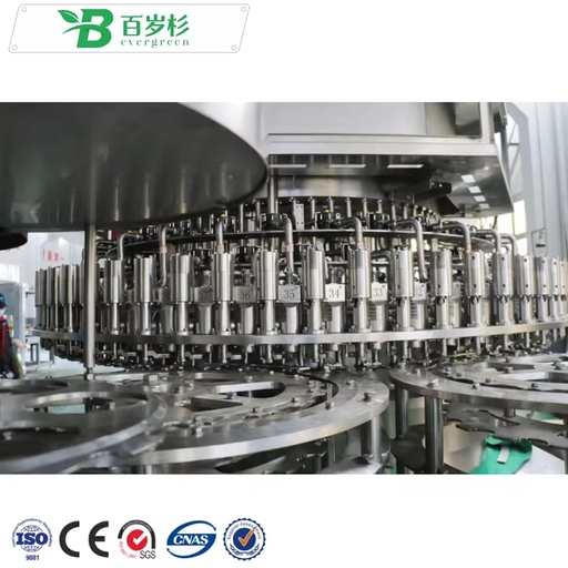 BS-Automatic Complete Water Production Line Beverage Bottle Drink Filling Packaging Machine Mineral Water Bottling Plant