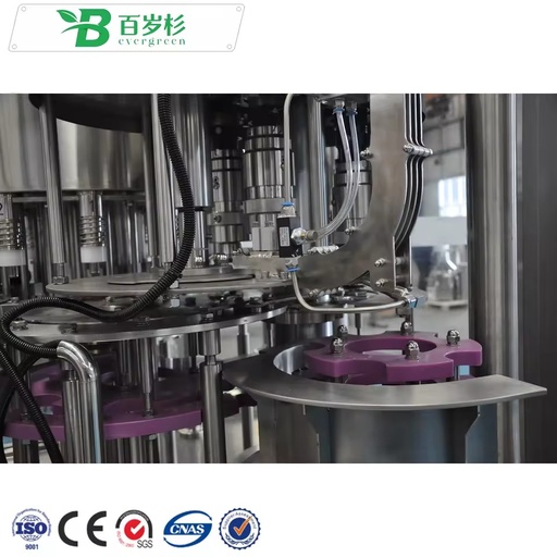 BS- Big Businesses Automatic Fruit Juice Filling Production Line Pineapple Fruit Juice Production Line Filling Machine