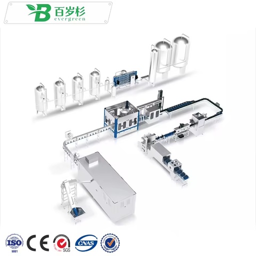 BS-Automatic 500ml Water Filling and Capping Machine Line 2000-3000Bph Complete PET Bottled Drinking Mineral Water Filling Line