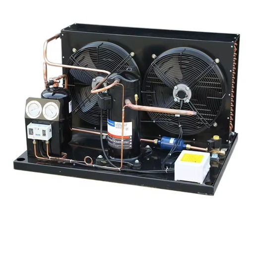 6KW Energy Saving Reciprocating Piston Air Cooled Condensing Unit with Stable Motor for Industria
