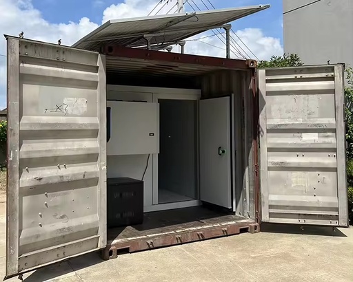 20ft Container Solar Powered Food Cold Storage Rooms Walk in Freezer