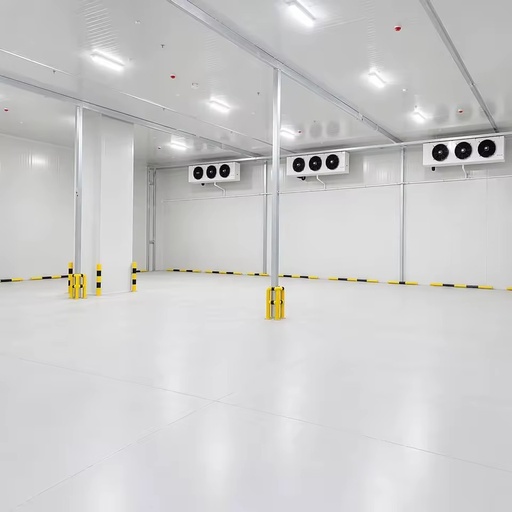 Prefab Walk-in Freezer Cold Room for Central Kitchen Food Factory 1000 M3 Custom Size Full Turnkey Design