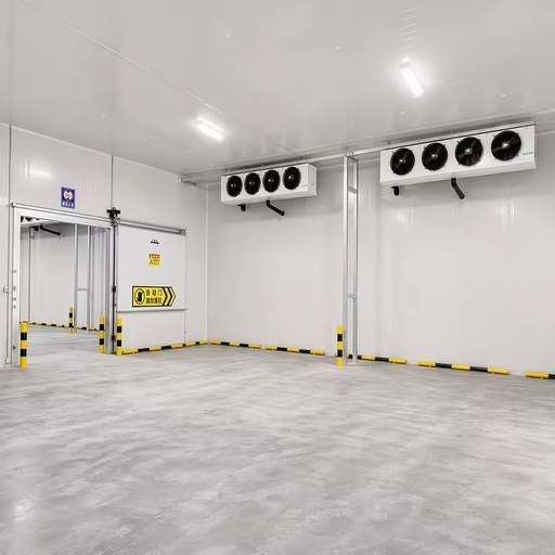 Large Cold Storage Room Custom Walk-in Freezer Cooler Factory Direct Sale Free Design