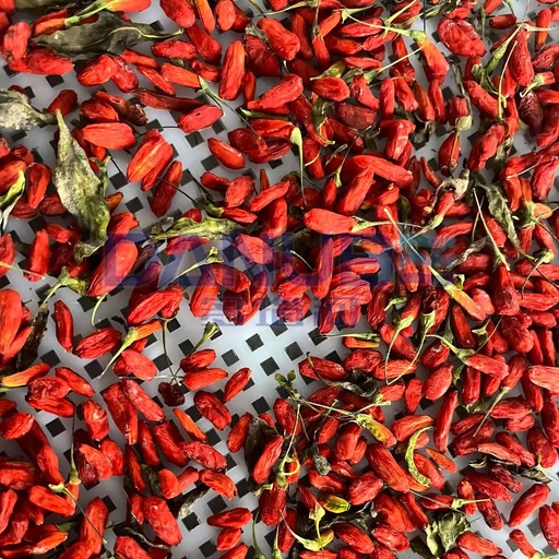 Quality Certification Heat Pump Drying Oven Room Wolfberry Dryer Fruit Dehydrator Equipment