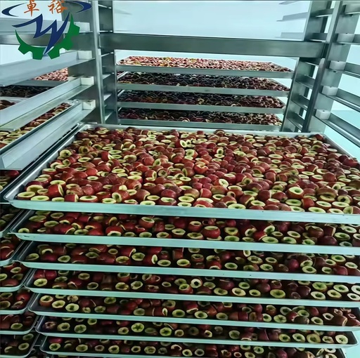 Vacuum Freeze Drying Machine with Stainless Steel Construction High Efficiency & Energy Saving Good Price