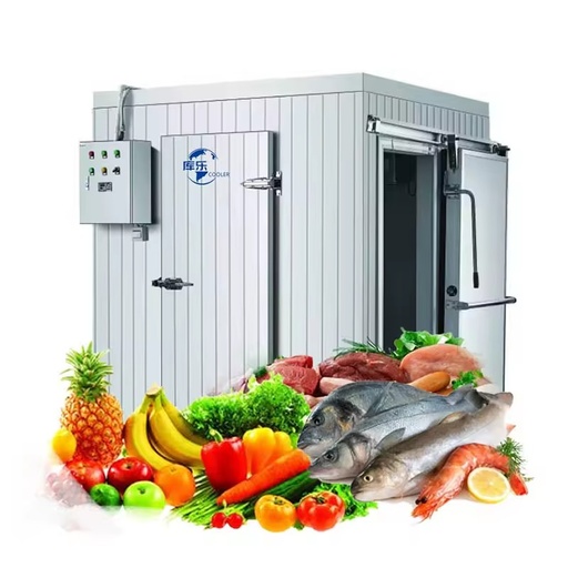 New Industrial Chiller Room Cold Storage Copeland Evaporative Condenser for Meat/Vegetable Cold Freezer Room Energy Saving