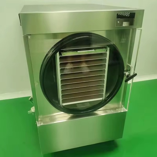 Chinese Factory Supply Modern Kitchen Freeze Dryer Machine 20kg/h Capacity SUS304 Stainless Steel Energy Food Processing Pump