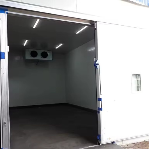 New Cold Storage Room Easy-to-Operate Freezer for Fruit Energy Saving 100mm Panel Cold Room