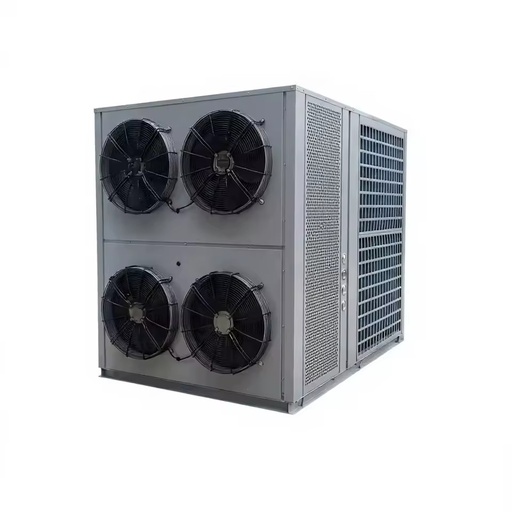 Energy Saving Heat Pump Meat Dryer Machine, 304 Stainless Steel Beef Jerky Dehydrator for Industrial Meat Processing Plant