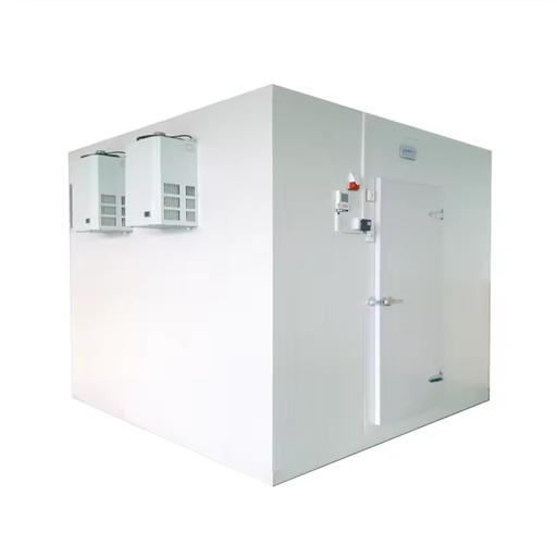 Copeland Compressor Cold Room Cooling Chamber for Freezer Cold Storage
