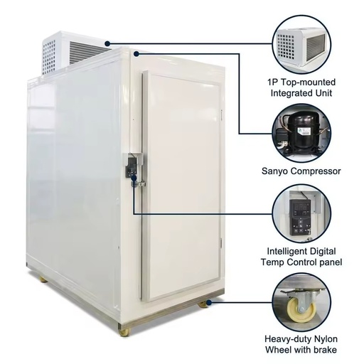 Suppliers ColdRoom Custom Small Size Vaccine Storage Deep Freeze Chamber Air Cooled Systems Mini Cold Room for Hospital