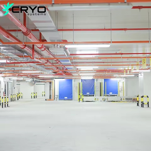 Massive Heavy Duty Cold Storage Room Large Projects Cam Lock Motor Engine Pump Energy Saving Quick Freezing Technology Solar