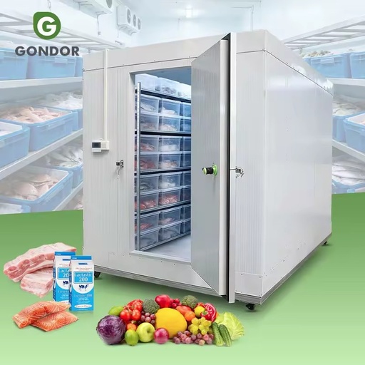 Commercial Walk-In Cooler and Chiller with Motor Silver Color ISO Certified Energy Saving Customizable Size and Doors