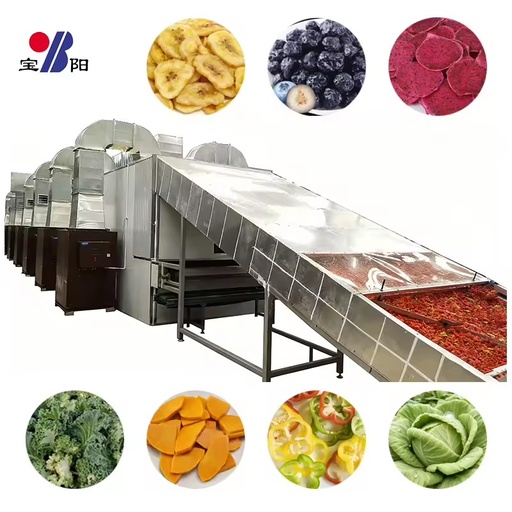 Food Dehydrator Machine Wire Belt Dryer with Gear for Food Processing Gas Heated High Efficiency Drying