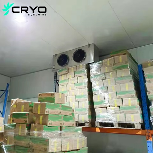 Temperature Controlled Solar-Powered Chiller Room with Pump for Fresh Fruit Vegetable Storage Energy Saving Walk-in Cold Room