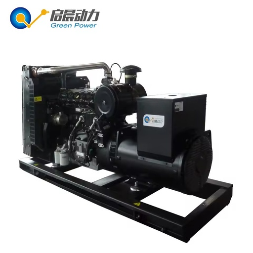 20kw 30kw 100kw 250kw 500kw 1mw CE Biogas to Electricity Powered Electric Generator Anaerobic Digester Plant Price Generador