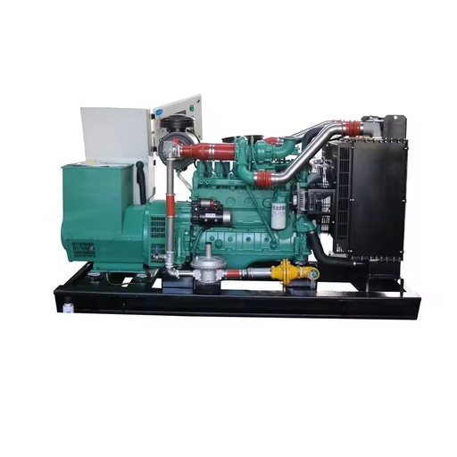 Commercial 50kw Cogeneration Natural Biogas Electricity Generator