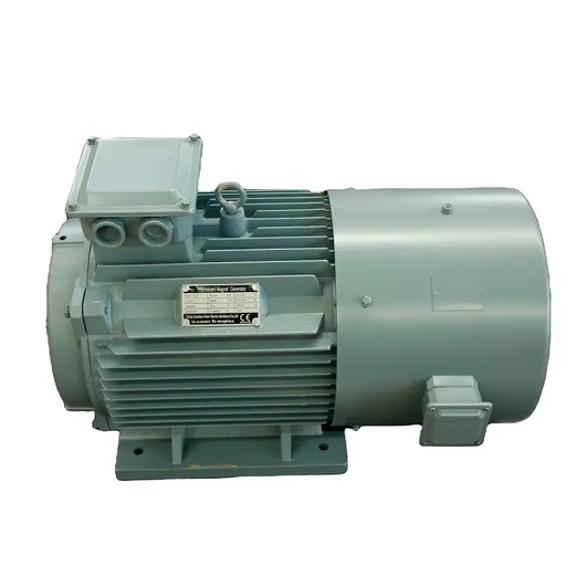 Factory Directly Provide Generator Without Fuel dynamo Electricity Generator