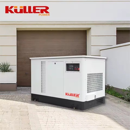 Dual Fuel Generators LPG Propane Natural Gas Gasoline Genset Standby Electricity Power Generation Machine