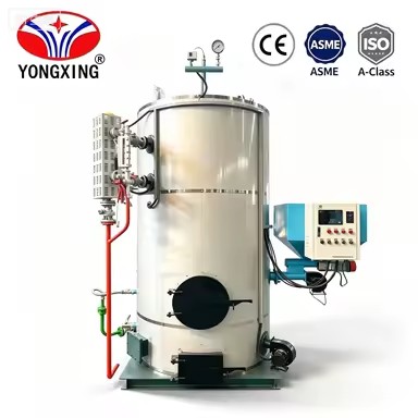 Energy Saving Automatic Feeding Biomass Steam Generator Wood Chip Biomass Pellet Steam Generating Machine