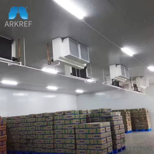 Customized Industrial Large Scale Steel Structure Cold Storage Warehouse Thermal Insulation Energy Saving for Frozen Food