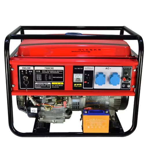 New Designed Biogas Electric Power Generator