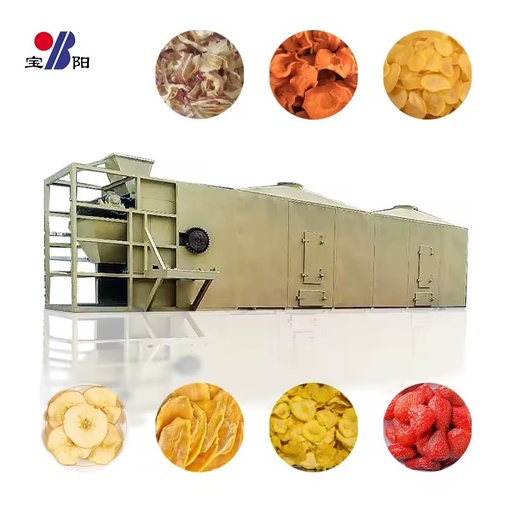 Mesh Belt Dryer Food Dehydrator Machine Gas Heating Energy Saving Stainless Steel Industrial Use Bearing for Onion Potato Carrot