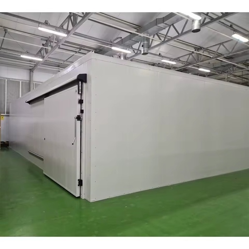 Refrigerator Container Large Cold Storage Room Walking in Freezing Equipment Cold Room Cold Ship Cooler Freezer Container