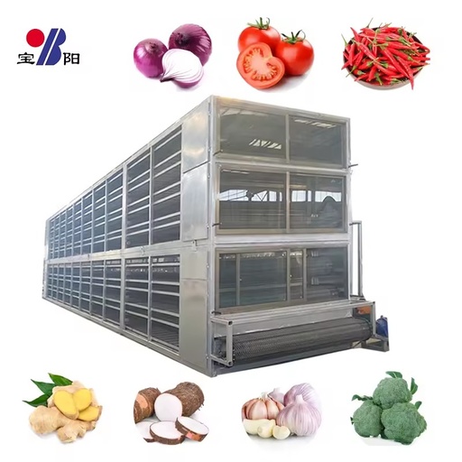 Fruit and Vegetable Drying Machine PLC Controlled Wire Belt Dryer for Pepper Carrot Pumpkin Energy Saving Industrial Use