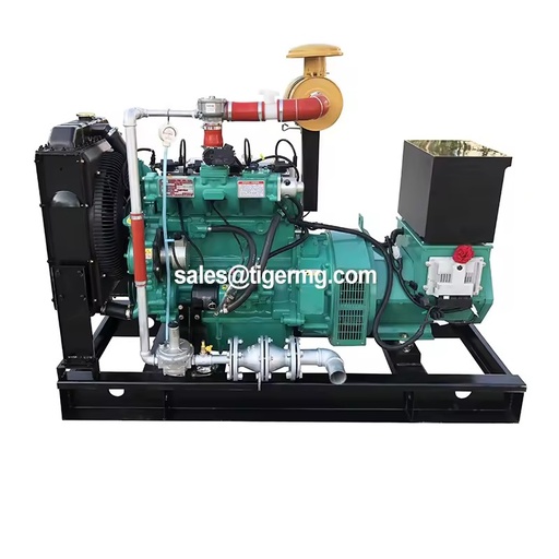 50kw 100kw Chp Biomass Gas Power Generator Electricity Generation for Other Renewable for Processing Plant