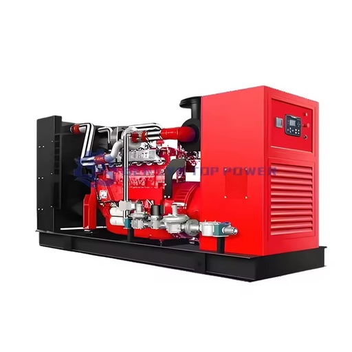 1mw 20kw 100kw 120kw 200kw 400kva 500kw 1000kw 1500kw Three Phase Generator on Natural Gas Syngas & Biogas with IP55 Auto Start