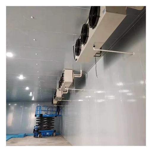 High Performance Large-Scale TECUMSEH Walk-in Cooler Cold Storage Warehouse Stainless Steel Surface Energy Saving 100 Tons