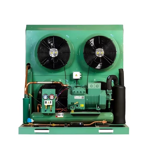 Cooler Cooling Freezer Refrigeration Equipment for Cold Storage