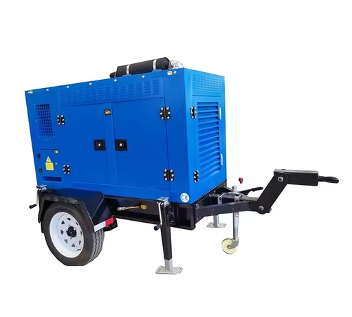 Electric Power Project Type Biogas Natural Biomass Methane Electricity Equipment Manufacture