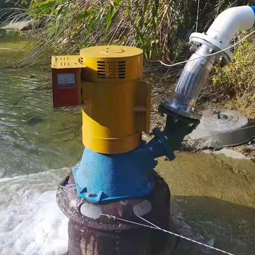 5Kw Micro Hydro Generator Mini Water Turbine to Generate Electricity