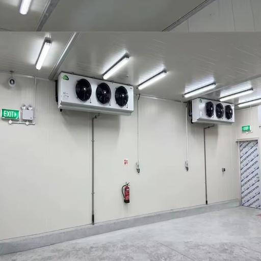 Modular Cold Storage Cold Room Chambre Froide Freezing Equipment for Shop Restaurant Storage Cold Chain